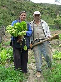 Bio-Huertos